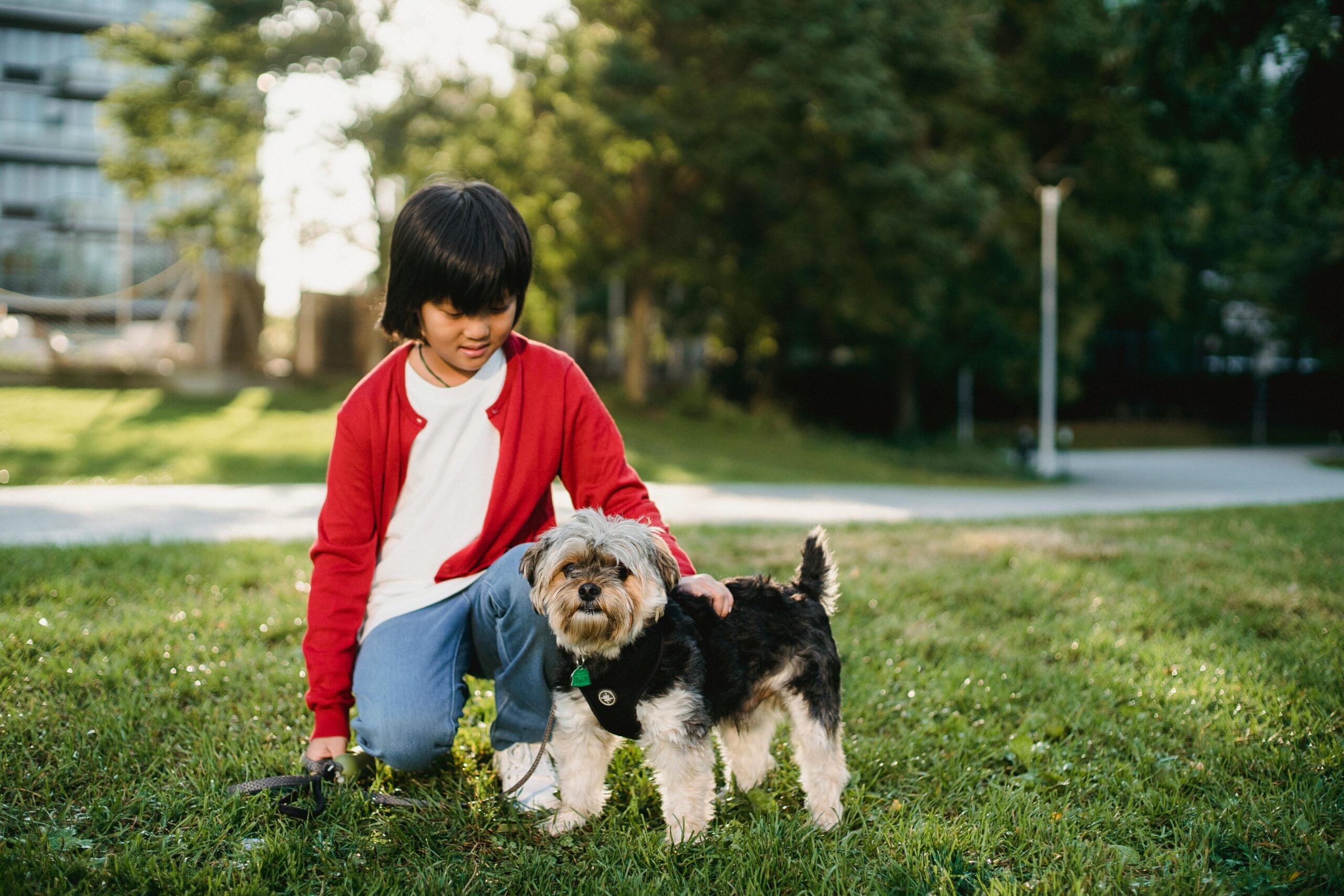 boy playing with dog in yard